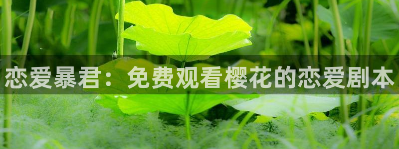 长乐曲免费观看星辰影院