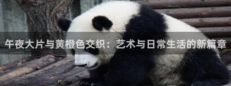 星辰影院电影官网