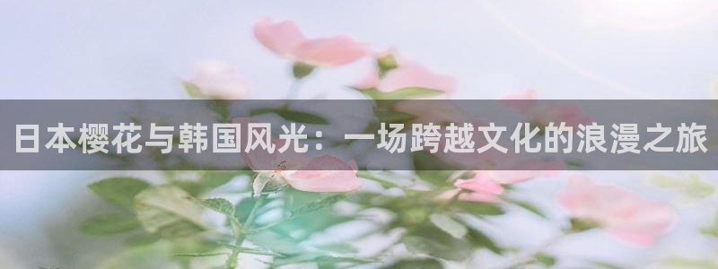 星空影视 影视大全