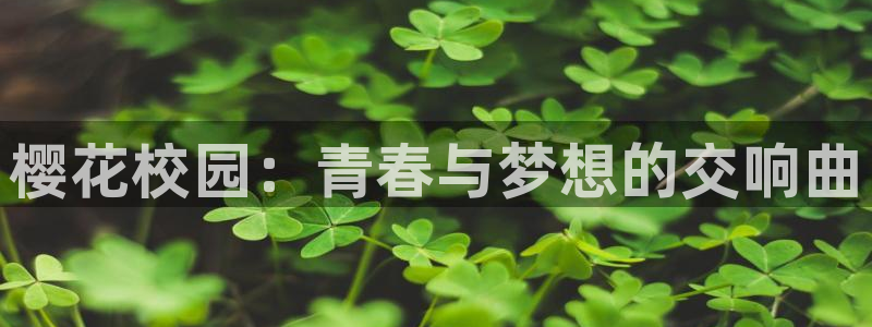 星辰影院最新最好看的电影电视剧