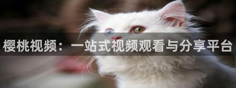 星空类电影