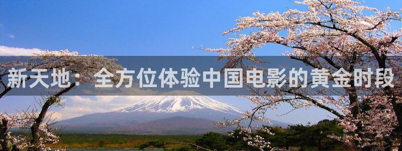 星空视频影视大全免费观看在线