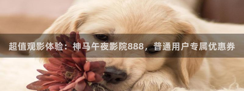 星辰影院在线播放免费观看视频