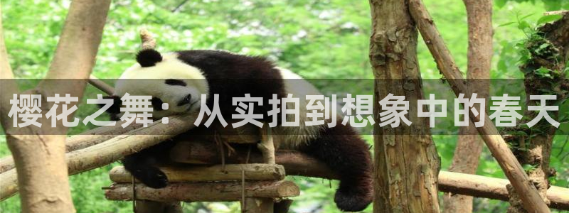 星空电影高清在线观看
