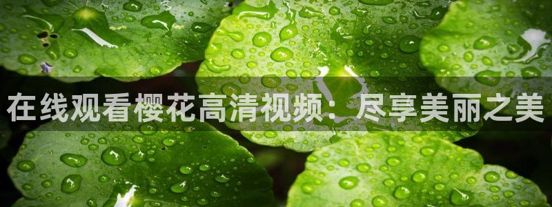 星辰影院影视大全