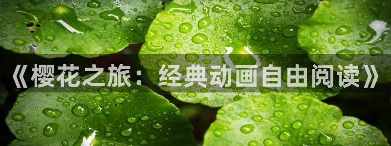 夏至未至电视剧免费观看完整版星辰影院