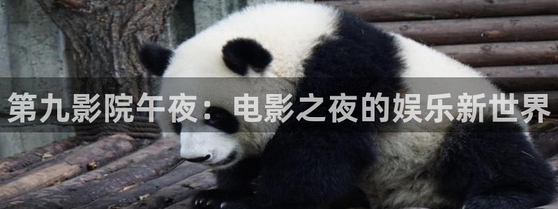 星空电影 网