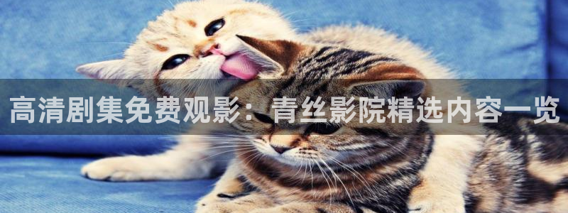 星辰影院在线观看高清