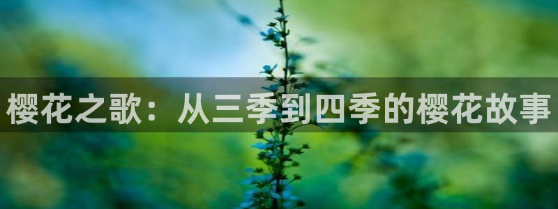 星空私人影院