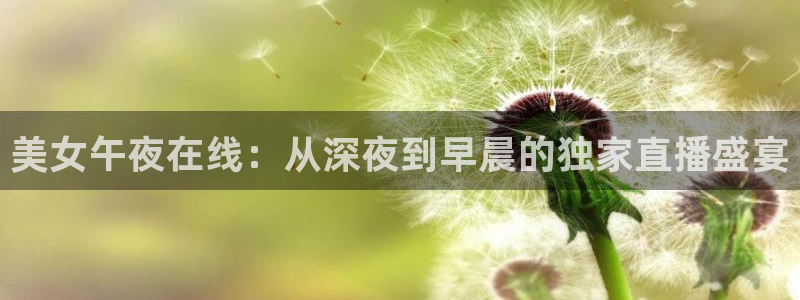 星空无限传媒影视在线观看