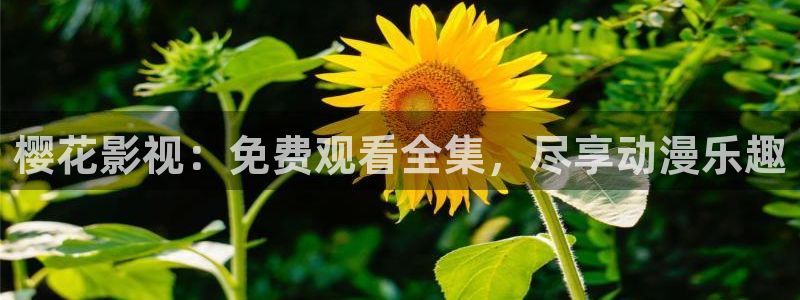 星辰影院播放电影大全免费