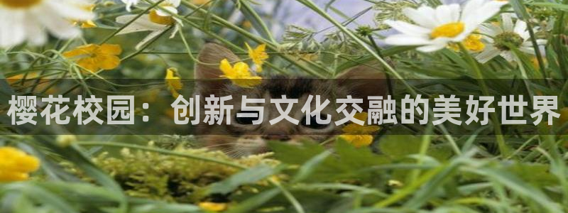 星空影视免费看电视剧