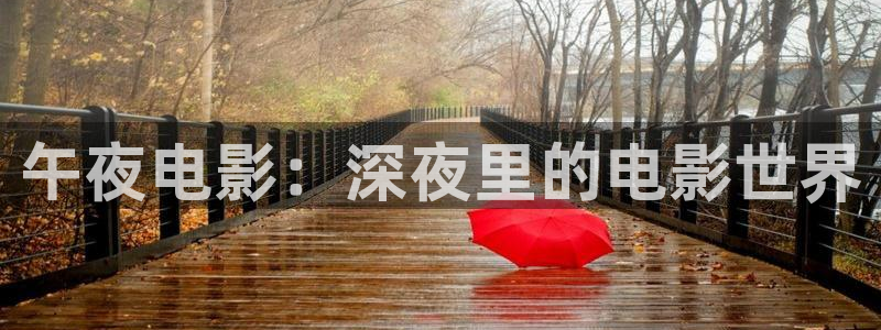 家庭影院 星空顶