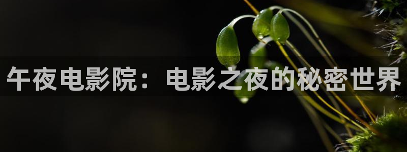 星辰影院2023