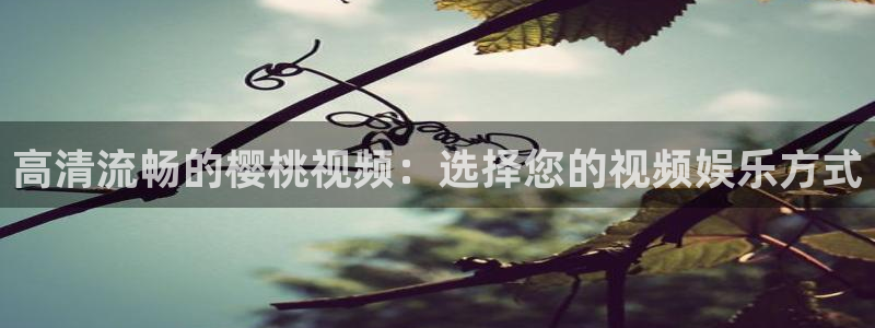 星空传媒影视mv