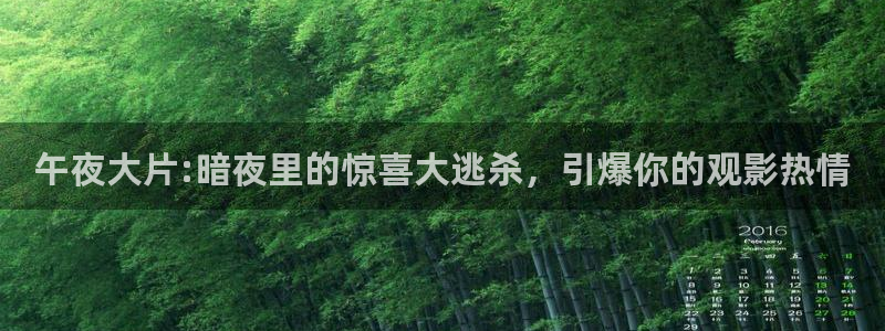 星空传媒在线观看1080p
