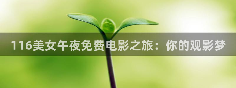 星空免费影院大全