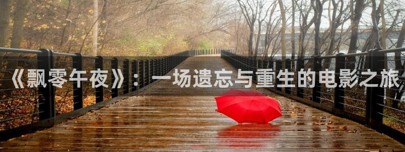 星空影视在线看