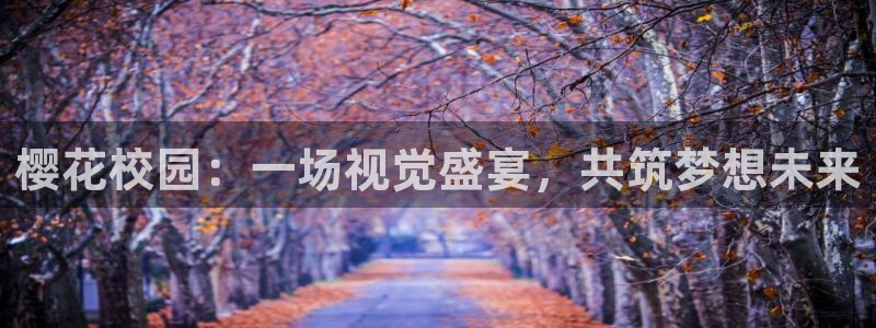 星空无限传媒观看